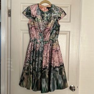 Ted Baker Dress, size 4